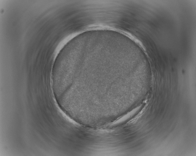 X0000067921239200605112000