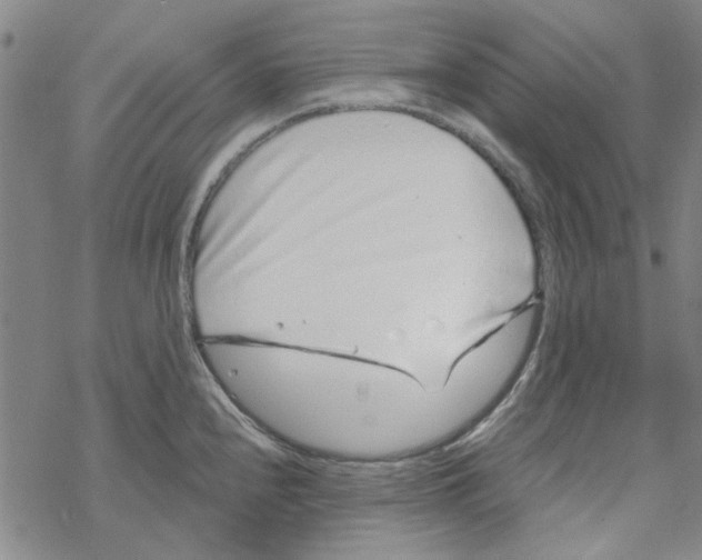 X0000067921240200605112000