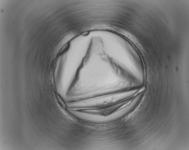 X0000067921241200605112000