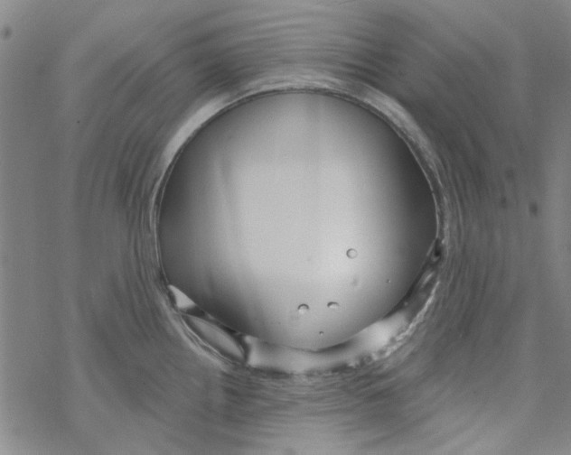 X0000067921242200605112000