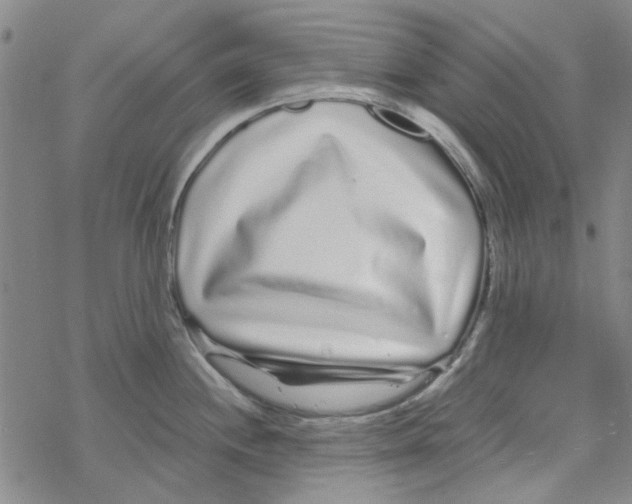 X0000067921244200605112000