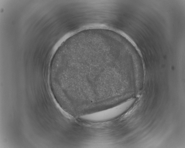 X0000067921245200605112000