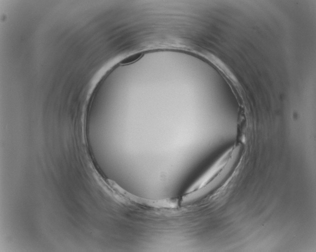 X0000067921246200605112000