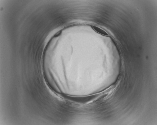 X0000067921247200605112000