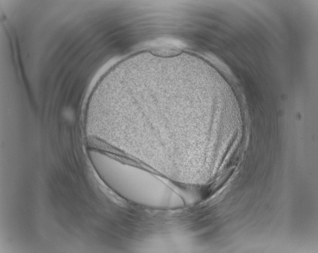 X0000067921248200605112000