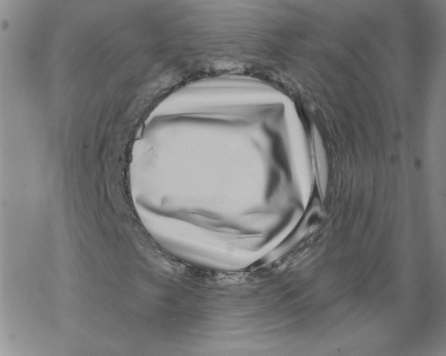 X0000067921249200605111959