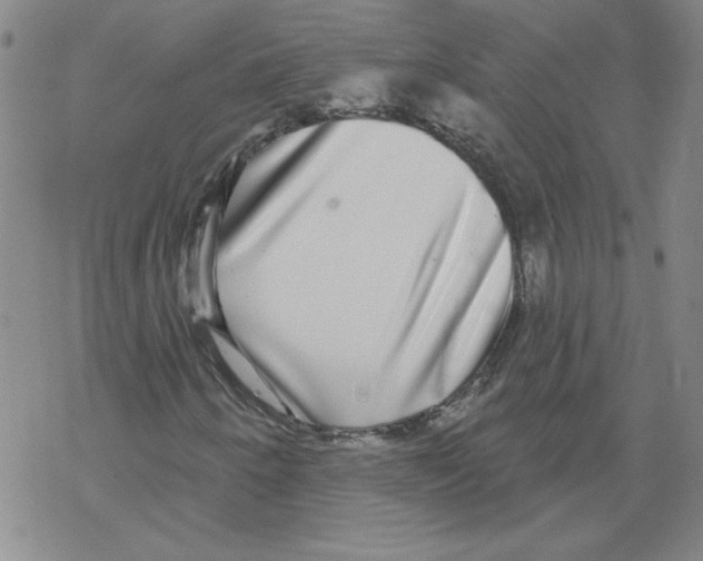 X0000067921250200605111959