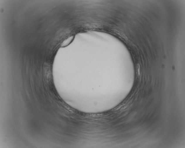 X0000067921251200605111959