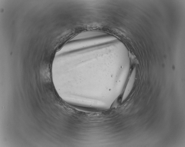 X0000067921252200605111959