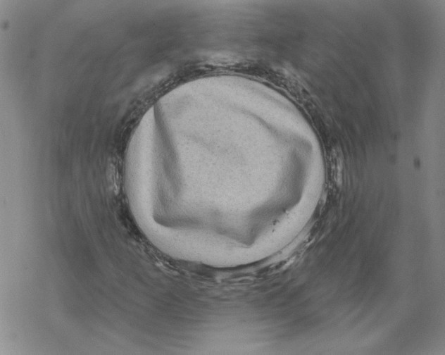 X0000067921253200605111959