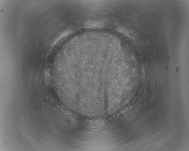 X0000067921254200605111959