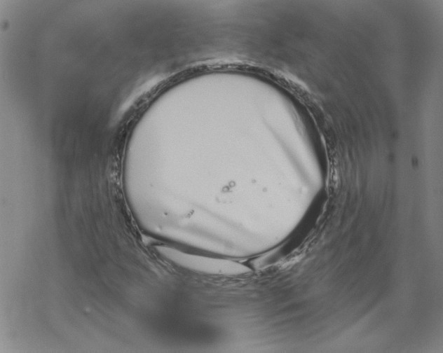 X0000067921255200605111959