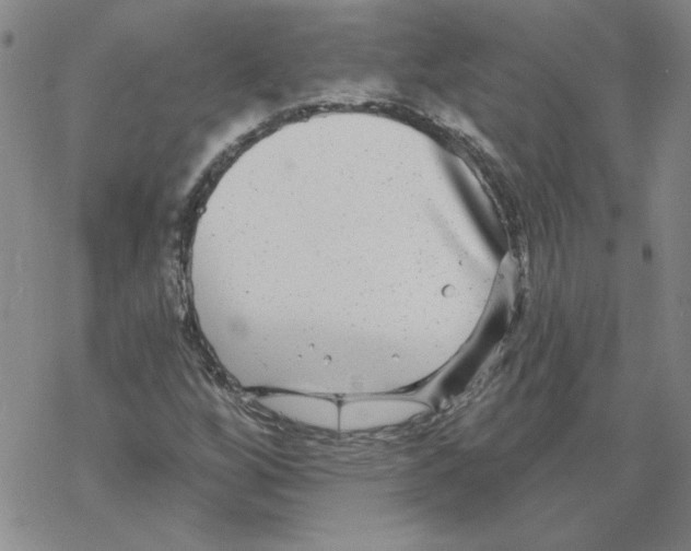 X0000067921256200605111959