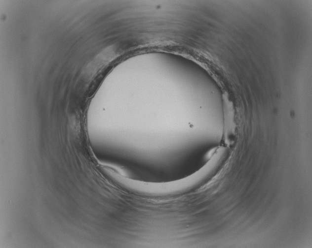 X0000067921257200605111959