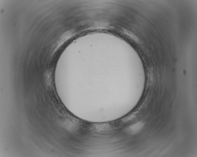 X0000067921258200605111959