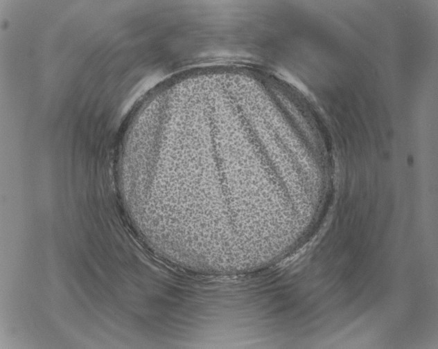 X0000067921259200605111959