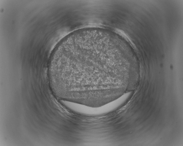 X0000067921260200605111959