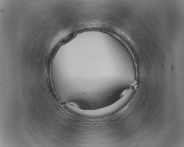 X0000067921261200605111959