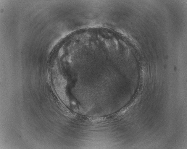 X0000067921262200605111959