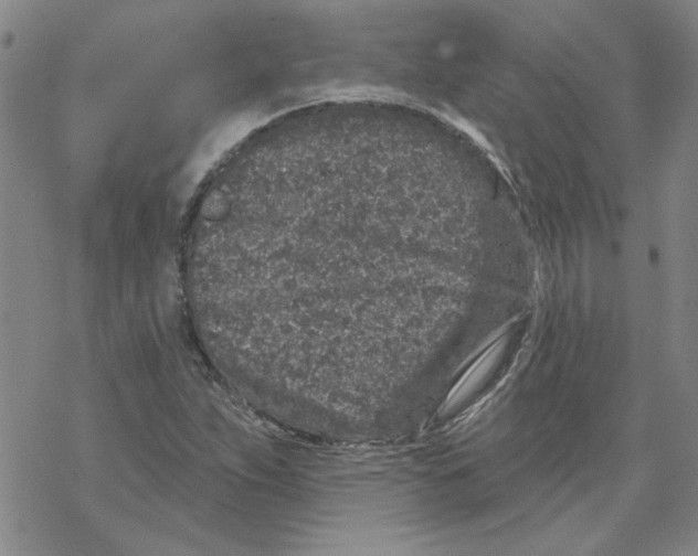 X0000067921263200605111959