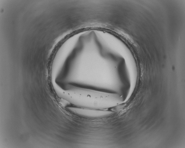 X0000067921264200605111959