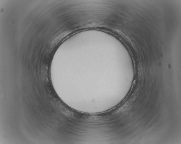 X0000067921265200605111959