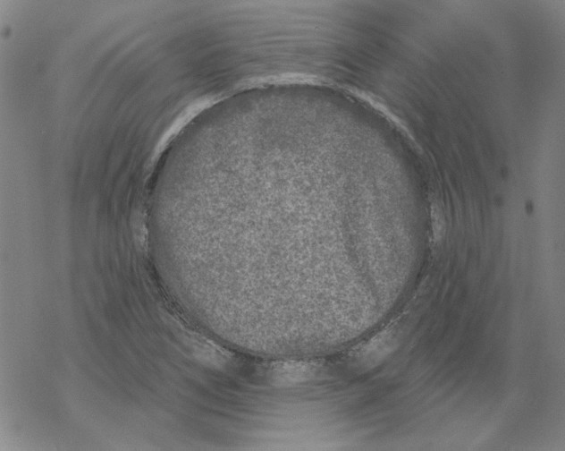 X0000067921266200605111959