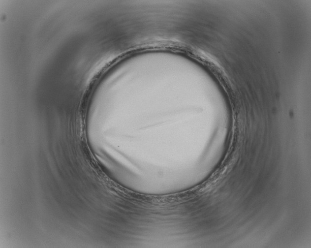 X0000067921267200605111959