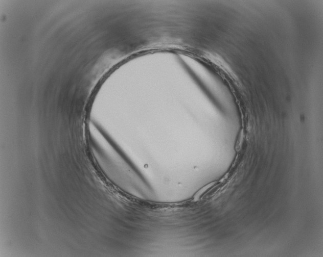 X0000067921268200605111959