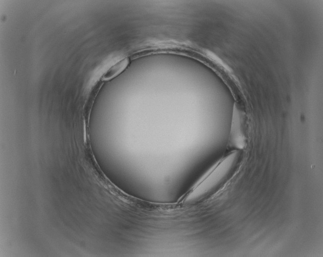 X0000067921269200605111959