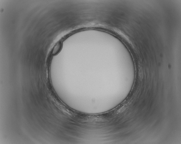 X0000067921270200605111959