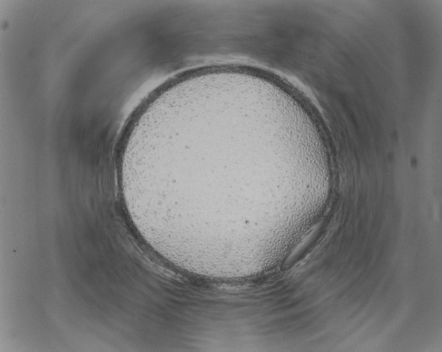 X0000067921271200605111959