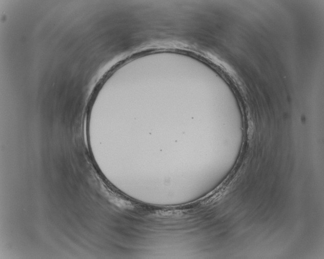 X0000067921272200605111959