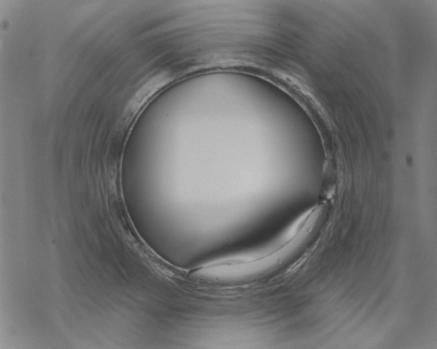 X0000067921273200605111959