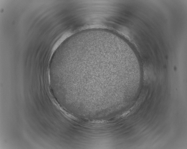 X0000067921274200605111959