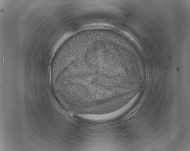 X0000067921275200605111959