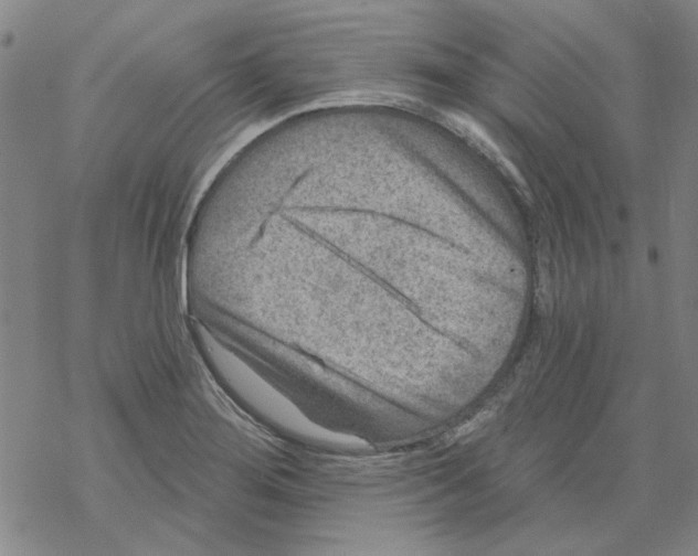 X0000067921276200605111959