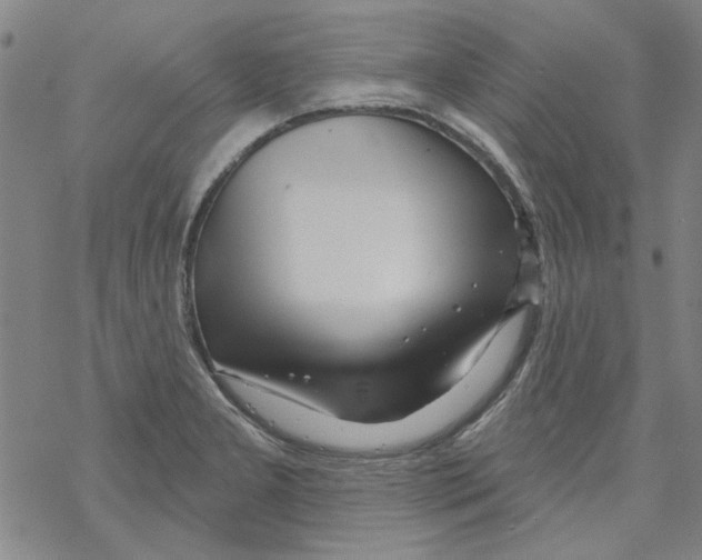 X0000067921277200605111959