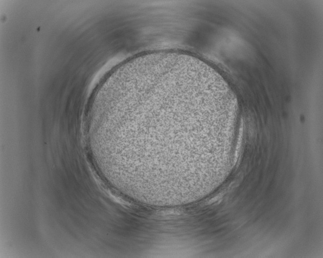 X0000067921278200605111959