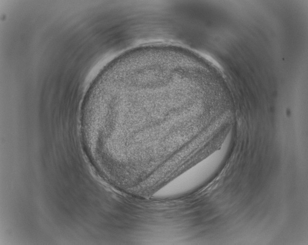 X0000067921279200605111959