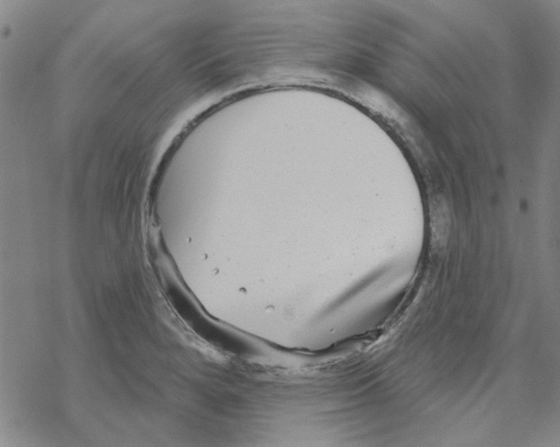 X0000067921280200605111959