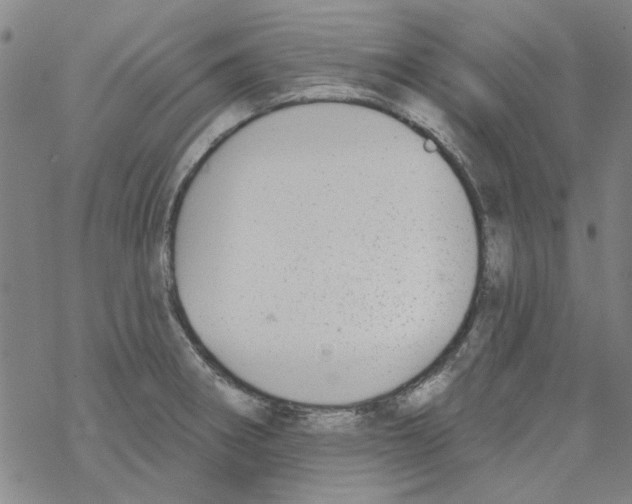 X0000067921282200605111959