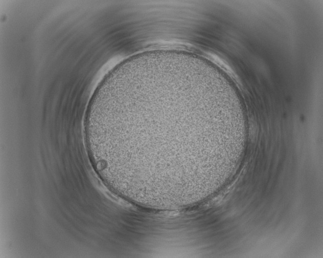 X0000067921283200605111959