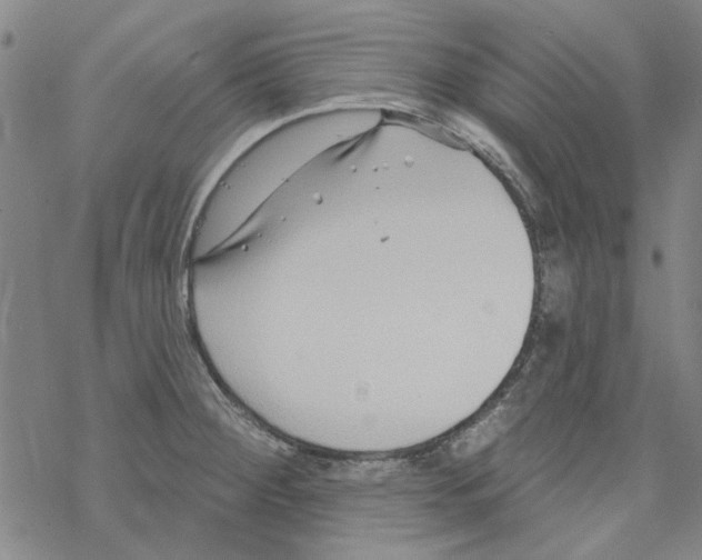 X0000067921284200605111959