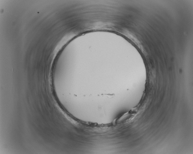 X0000067921285200605111959