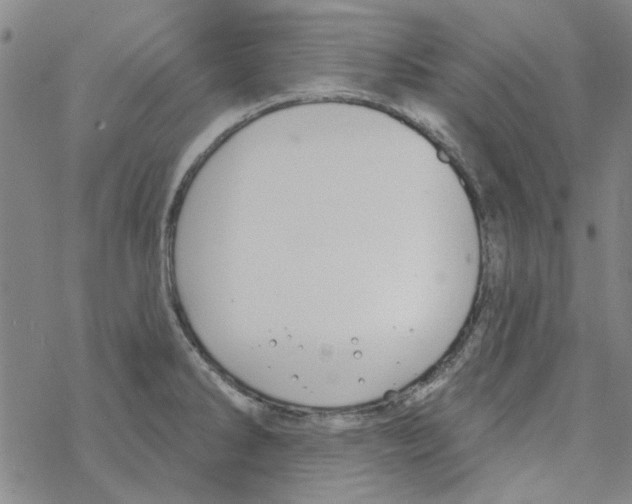 X0000067921286200605111959