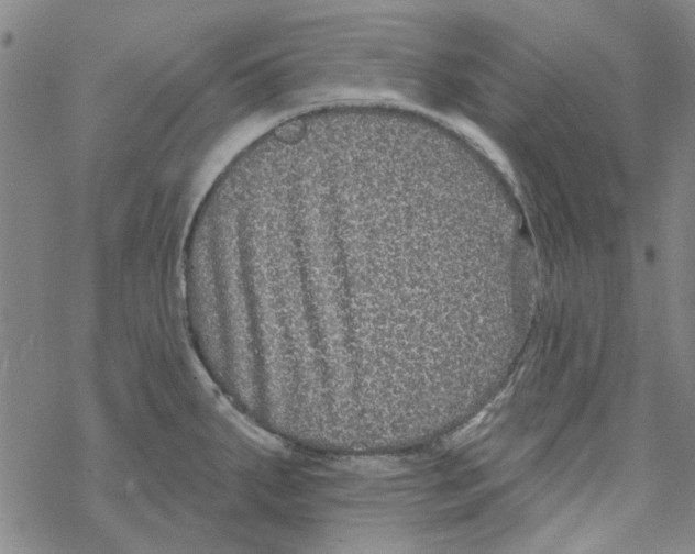 X0000067921287200605111959