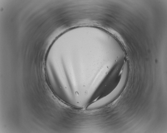 X0000067921288200605111959