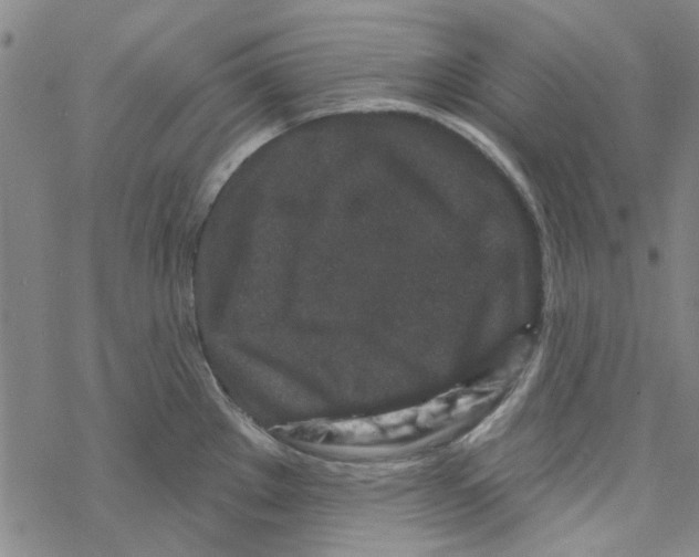 X0000067921289200605111959