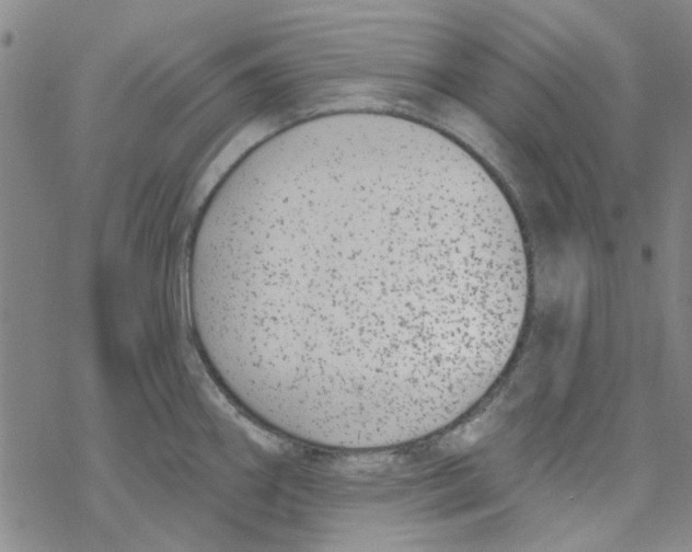 X0000067921290200605111959